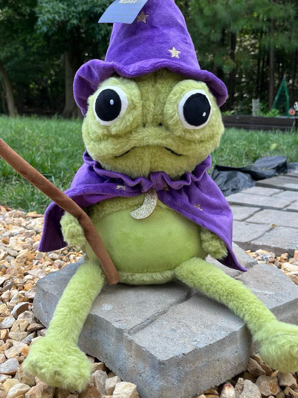 *VIRAL*Plush Green Wizard Frog in Purple Cloak - Brand